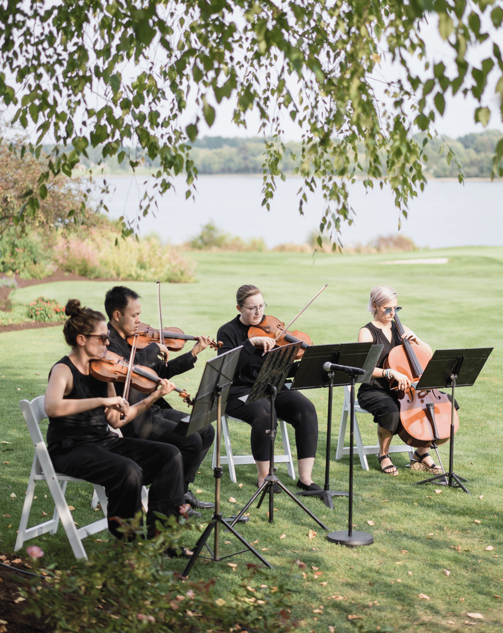string-ensemble-plays-near-the-lake